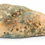 30-pan con moho