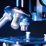 31-microscopia