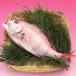 32-pescado