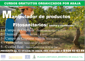 noticia1