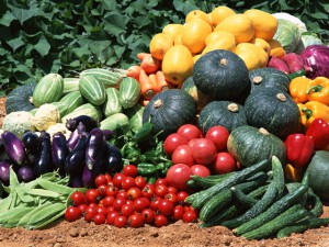 agricultura ecologica